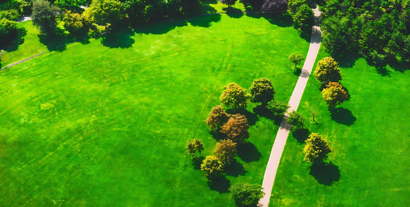 Parks & municipal grounds